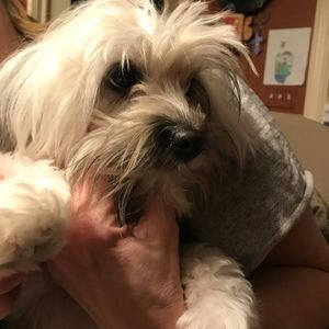 Meet your Posher, Jill